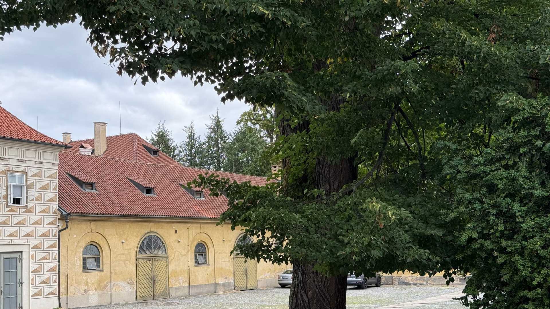 Stájový dvůr na Pražském hradě: dlážděné nádvoří pod velkou lípou, nízké žluté křídlo s půlkruhově zakončenými okny a šikmo bedněnými vraty pod červenou pálenou střechou s vikýři a vlevo stěna s renesančním psaníčkovým sgrafitem.