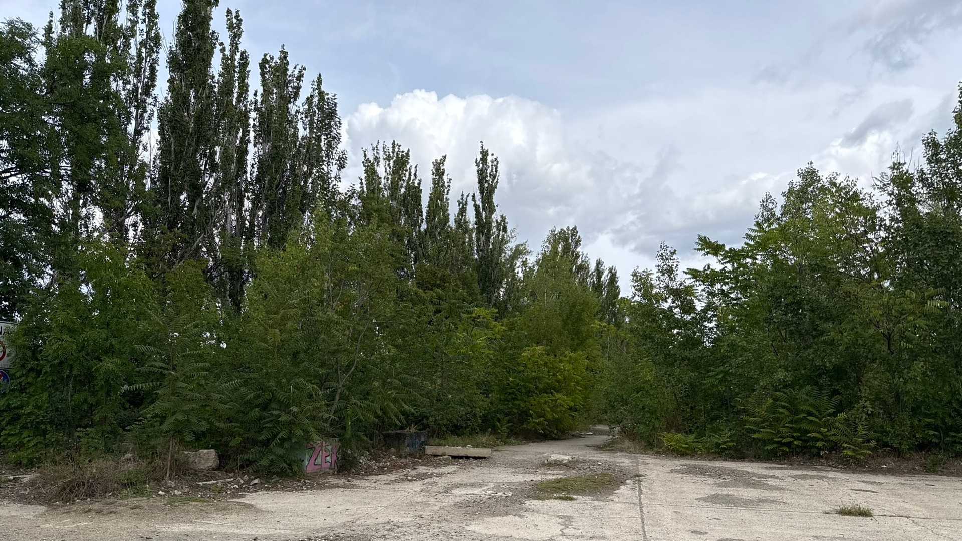 Popraskaná betonová plocha na Rohanském ostrově, na jejím okraji rozlámané obrubníky a pomalovaný blok, ze tří stran sevřená náletem topolů a pajasanů pod zataženou oblohou.